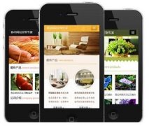 手機(jī)網(wǎng)站怎樣做才更有效果？如何做優(yōu)化？