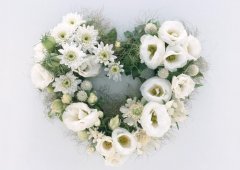 5.12 | 國際護(hù)士節(jié)，預(yù)祝5.14 | 母親節(jié)快樂！