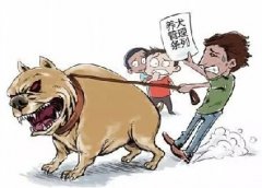 青島10月份一大波勁爆消息，你知道嗎？