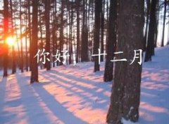 抓住2016年的尾巴給自己充充電！12月，加油！