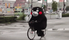 青島也有“共享單車”啦！說騎就騎的旅程GO