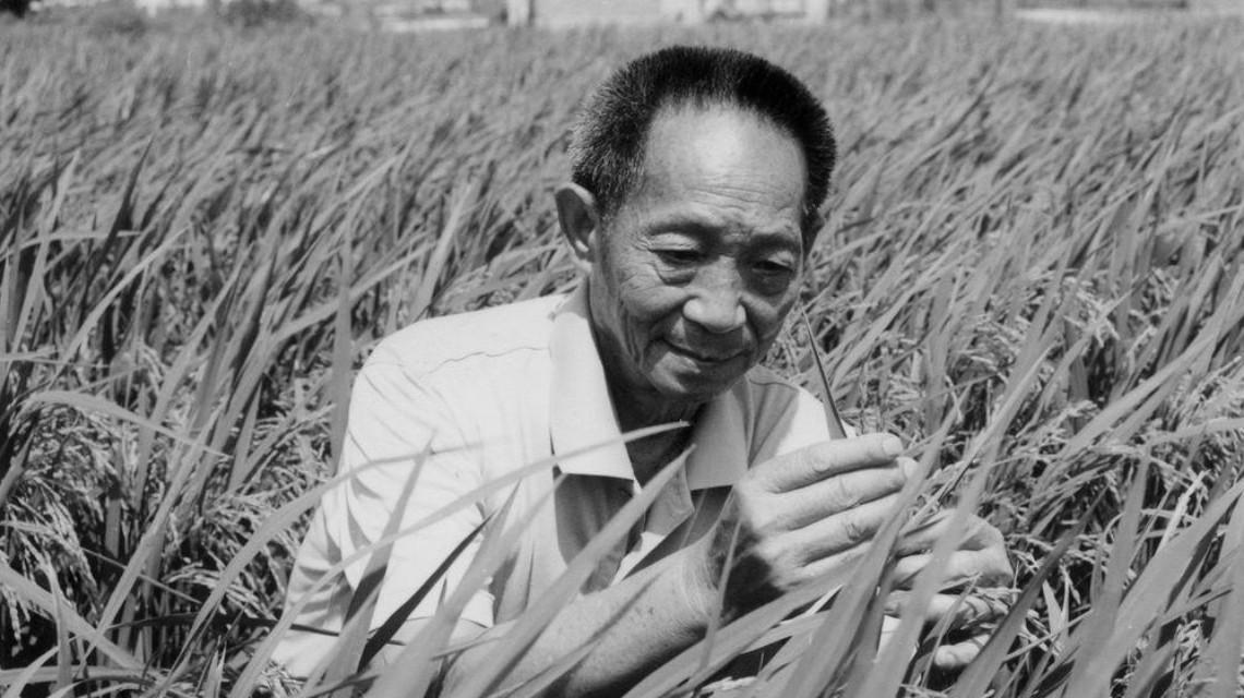 沉痛哀悼！袁隆平院士逝世